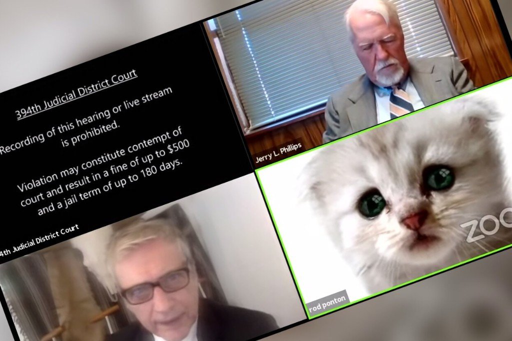 Zoom-Verhandlung mit Rod Ponton als Katzenfilter und zwei weiteren Teilnehmern